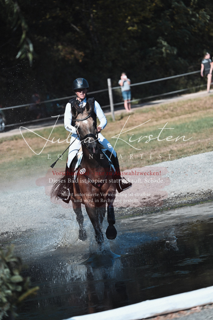 DSC_8684 | Pferde- und Turnierfotografie in Westsachsen. Pferdeportraits, Auftragszeichnungen und intuitive Kunst.