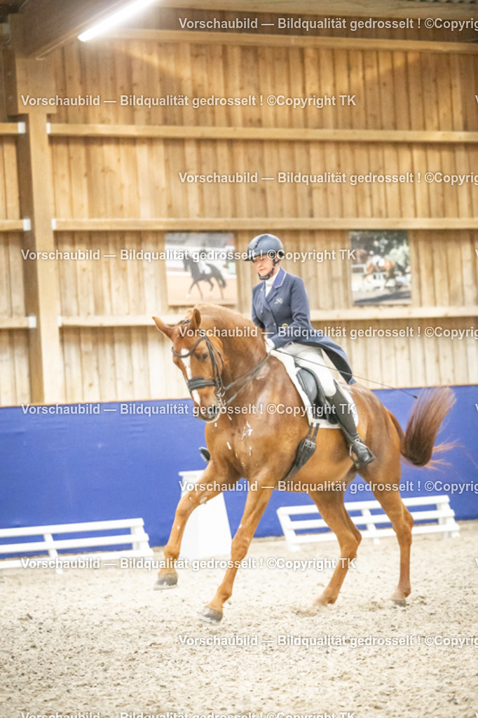 _D5A4156 | Emotionale Pferde- & People-Fotografie rund um Heidelberg, Leimen & Umgebung. Natürliche Fotos von Pferd, Mensch & Familie. Jetzt Termin sichern!