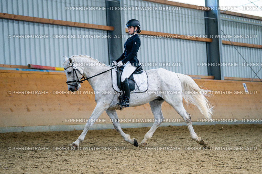 DSC05521 | Pferdegrafie