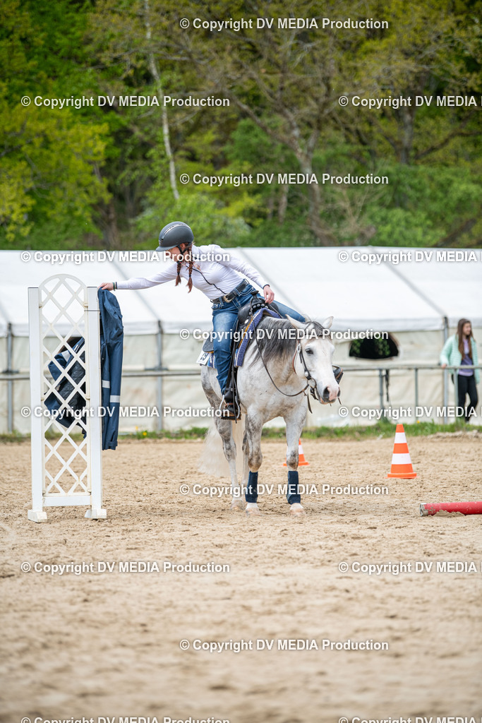 Heiligenwald Tag 2-1684 | dv-media-shop - Realisiert mit Pictrs.com