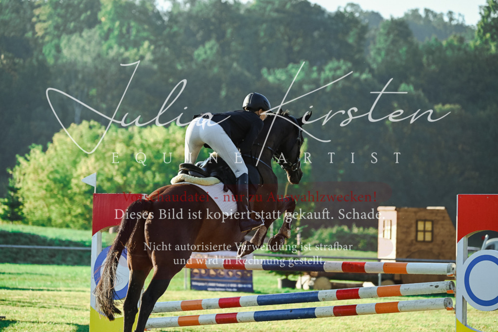 DSC_4199 | Pferde- und Turnierfotografie in Westsachsen. Pferdeportraits, Auftragszeichnungen und intuitive Kunst.