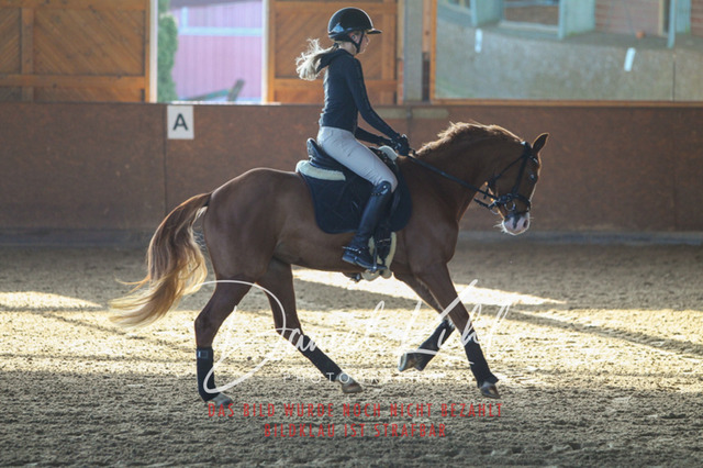 DKP42159 | Turniersportfotografie; Pferdefotografie; Dressurfotografie