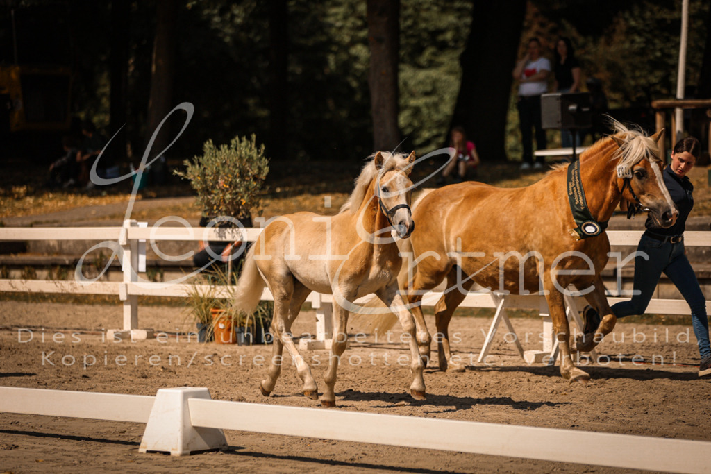 06.DoH00156 | Leoni Ertmer Photography - Realisiert mit Pictrs.com