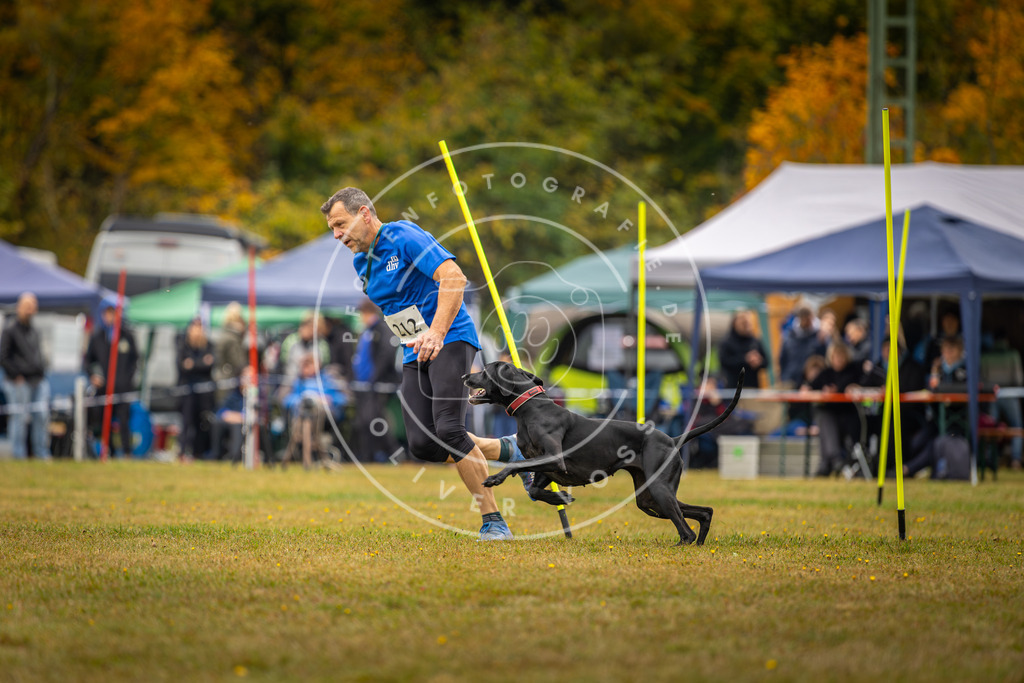 Pfotenfotografie_DV3A2416 | Hundefotografie, Tierfotograf, Pfotenfotografie, Fotoshooting Hund, Hunde Portrait, Hundesport, Hundeportraits, Heideshooting, Hunde, Sportfotograf, Hundefotograf, Turnierhundsport, THS,  - Realisiert mit Pictrs.com