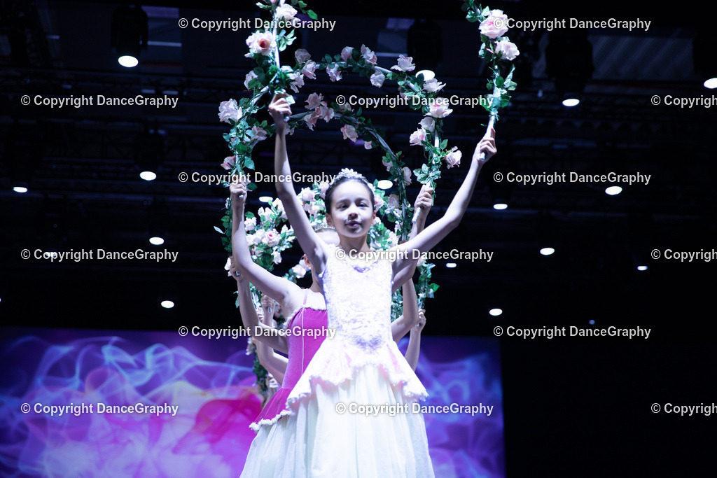 GPHY4792 | DanceGraphy - Realisiert mit Pictrs.com