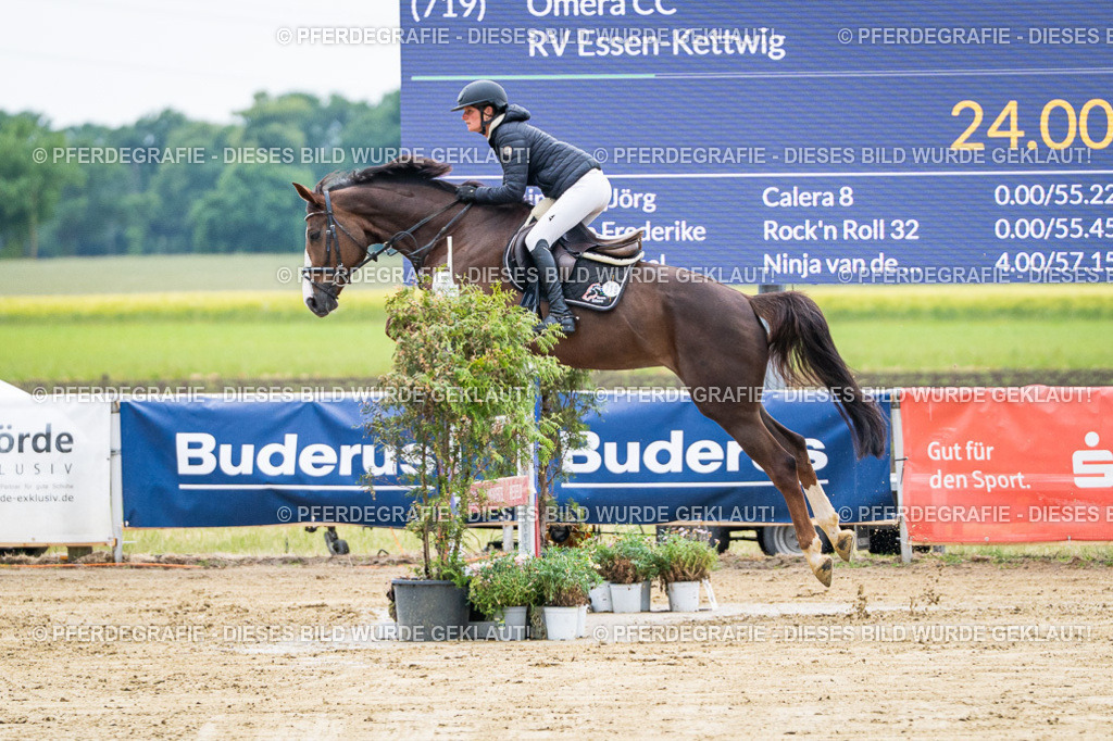 DSC04547 | Pferdegrafie