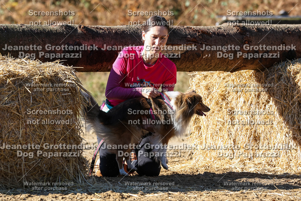 Dog Paparazzi - Strongdog 10-25-2483 | Dog Paparazzi Jeanette Grottendiek Fotografie & Videografie - Realisiert mit Pictrs.com