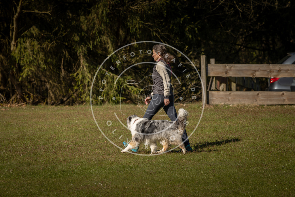 Pfotenfotografie_DV3A0494 | Hundefotografie, Tierfotograf, Pfotenfotografie, Fotoshooting Hund, Hunde Portrait, Hundesport, Hundeportraits, Heideshooting, Hunde, Sportfotograf, Hundefotograf, Turnierhundsport, THS,  - Realisiert mit Pictrs.com