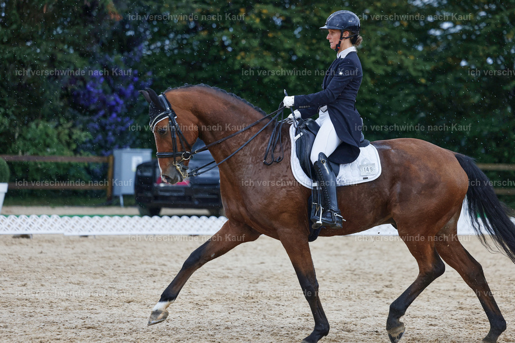 8_2-149-DRESSUR S_  -StoibPH-4471 | working equitationturnier fotograf videograf stoibphotography marixx film working equitation deutschland reitsport turnierfotografie eventfotografie equestrian events