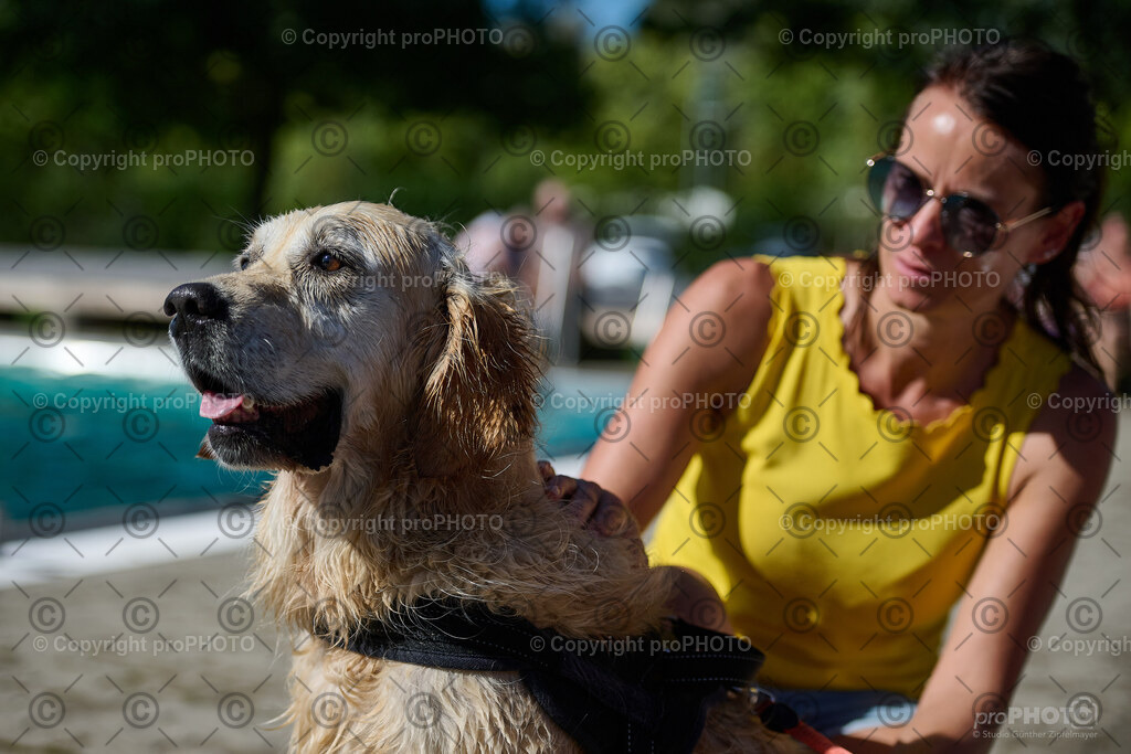 230_202509_4Hundebadetag_NZ9_2894 | proPHOTO - Realisiert mit Pictrs.com