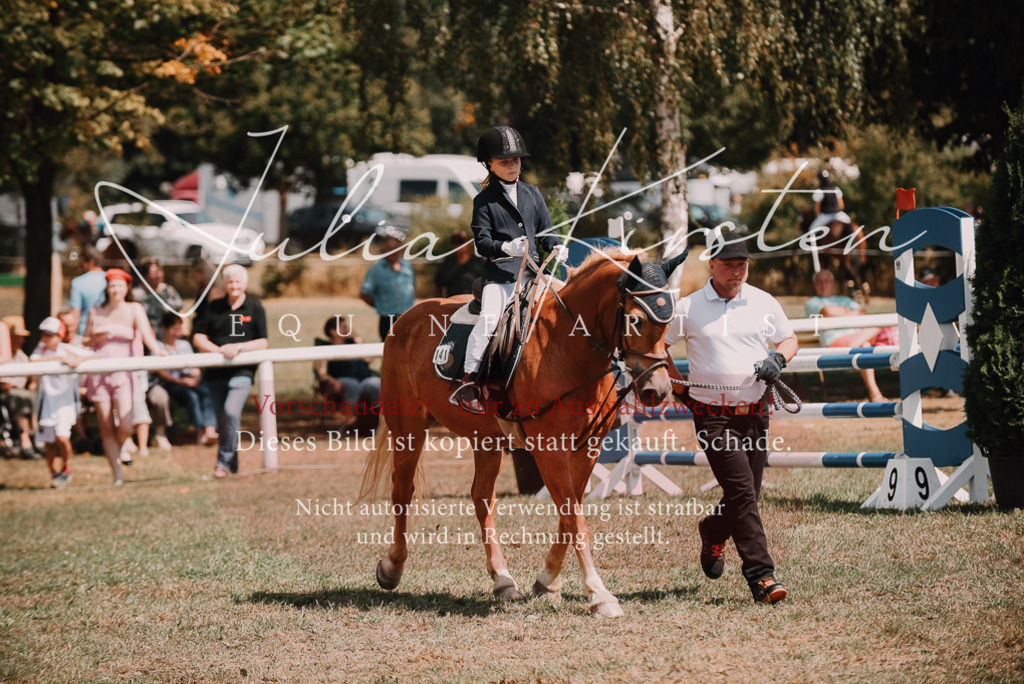 DSC_6230 | Pferde- und Turnierfotografie in Westsachsen. Pferdeportraits, Auftragszeichnungen und intuitive Kunst.