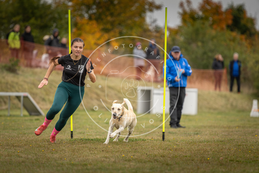 Pfotenfotografie_DV3A3842 | Hundefotografie, Tierfotograf, Pfotenfotografie, Fotoshooting Hund, Hunde Portrait, Hundesport, Hundeportraits, Heideshooting, Hunde, Sportfotograf, Hundefotograf, Turnierhundsport, THS,  - Realisiert mit Pictrs.com