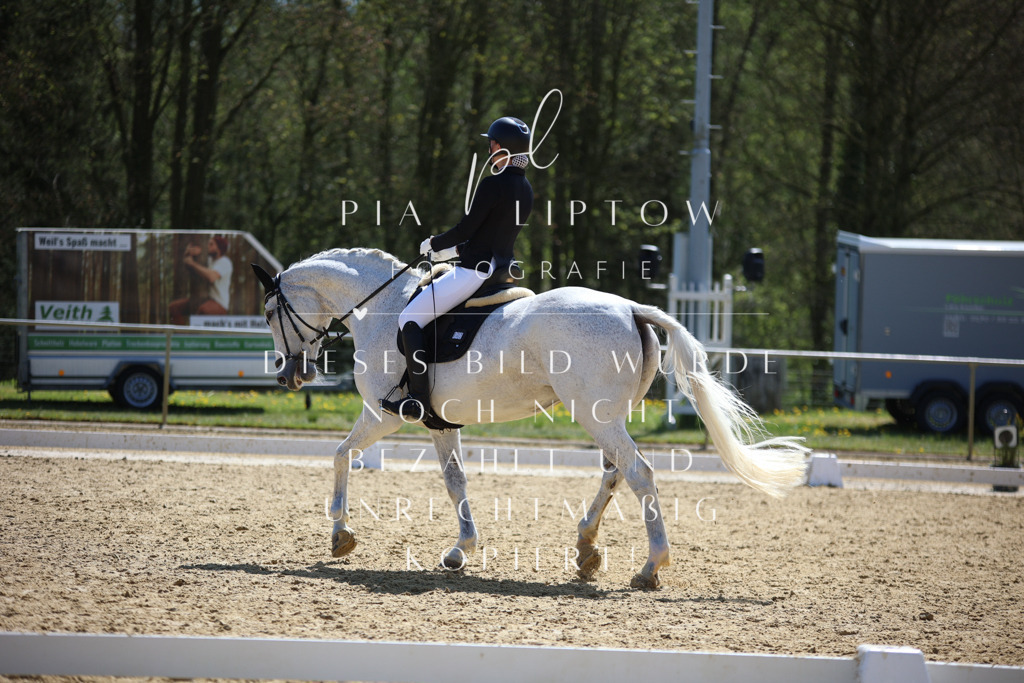 IMGT1723 | pl-fotografie