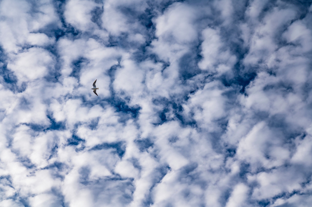 2023_02_04_HH-TEUFELSBRUECK_MCP6689 | Hochwertig gedruckte Fotografien für die Wand, als Kalender und zum Verschenken. Hamburg & Norddeutschland und überall wo ich mit der Kamera unterwegs war.