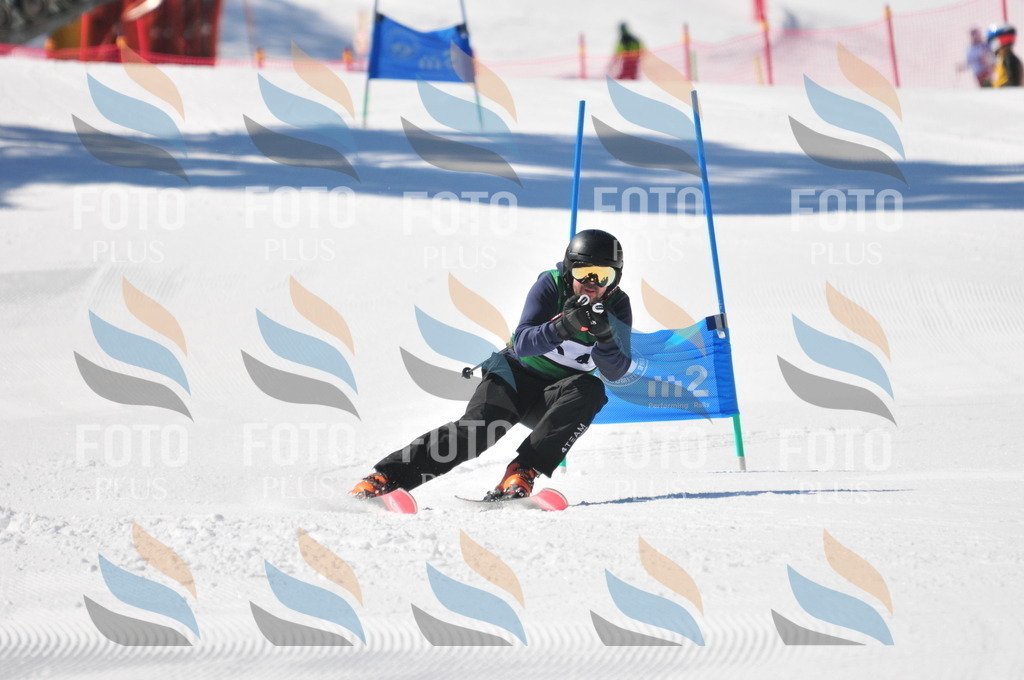 C3303 | holidayphoto