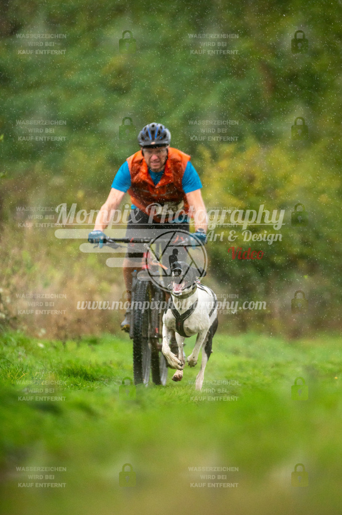 TSB_2023_E6_Bike-7 | PayLife
