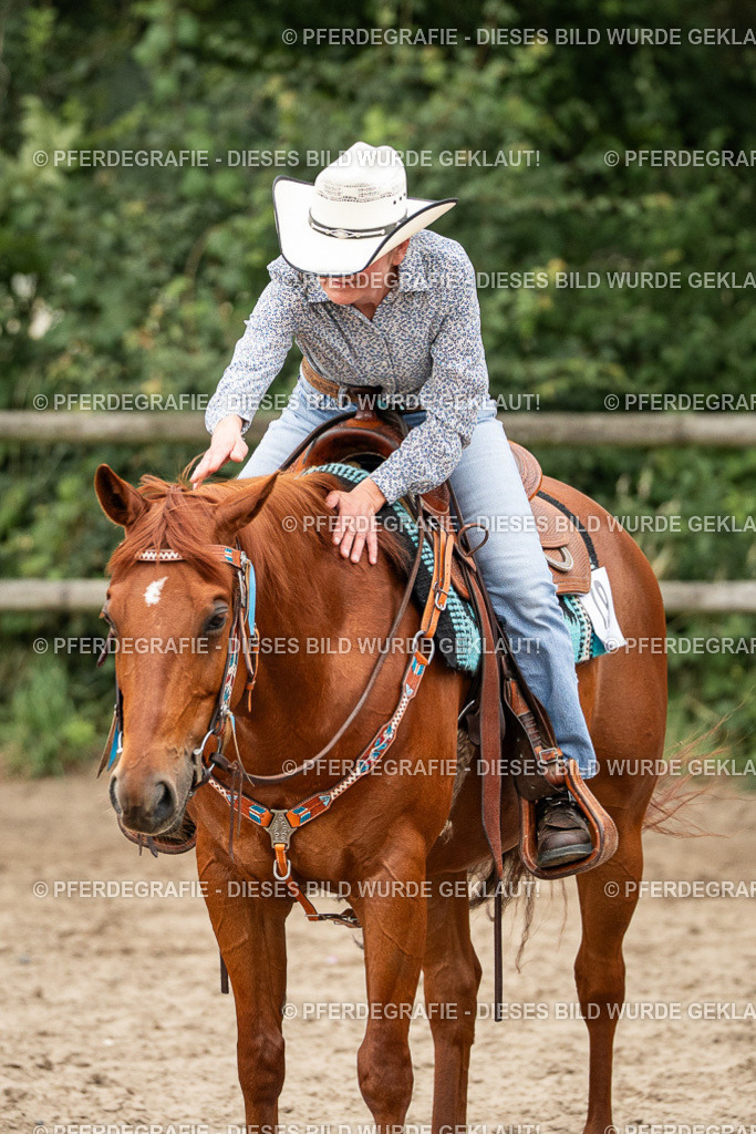 DSC03638 | Pferdegrafie