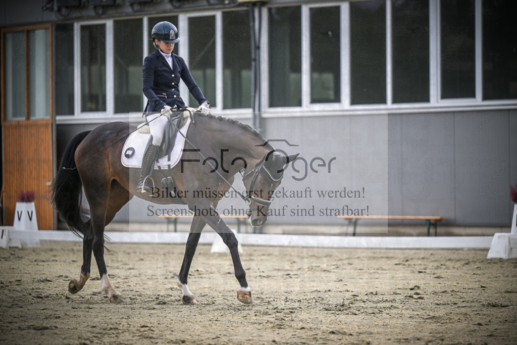 DOS_1642 | Entdecke hochwertige Reitturnierfotos von Foto Oger. Professionell, emotional und authentisch – jetzt Lieblingsmomente im Shop bestellen.Deutschlandweite Turnierfotografie. - Realisiert mit Pictrs.com