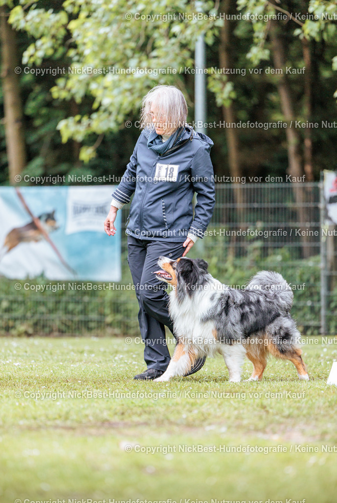 RO-Blumenthal-2026-Nickbest-Hundefotografie-4372 | Dein Hund! Dein Moment! Deine Erinnerungen! Hundefotografie in Bremen Blumenthal. Ich fange die besonderen Momente deines Vierbeiners ein – ob Indoor mit Blitzanlage oder in der freien Natur. Sicher dir dein Moment und dein Termin für eure Erinnerungen.