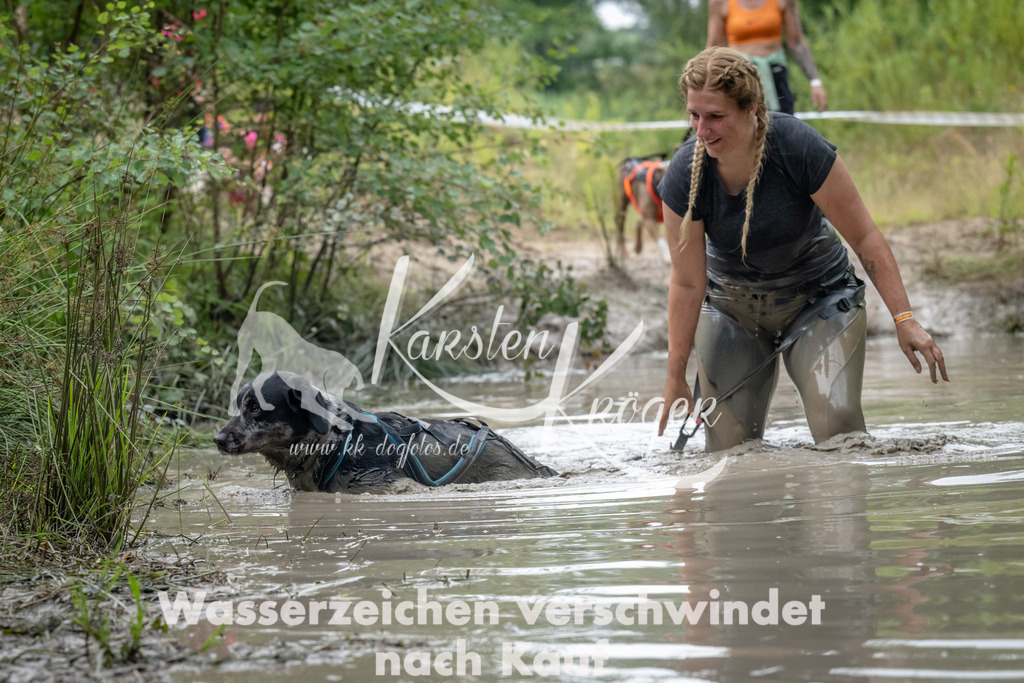 1339_ZZ91356 | kk-dogfotos
