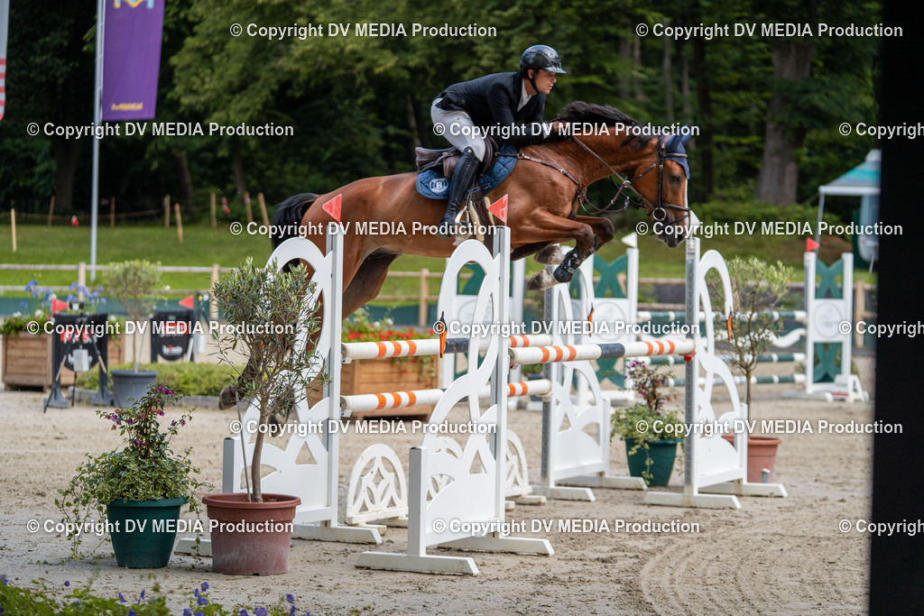 Hessische Tag 1-391 | dv-media-shop - Realisiert mit Pictrs.com