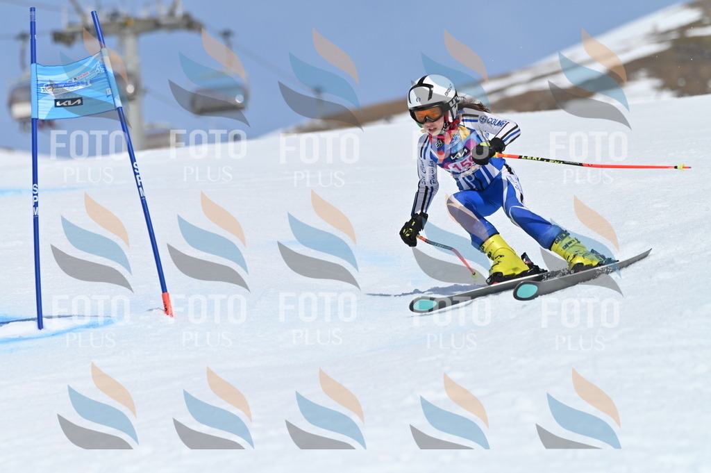 BGV_0233 | holidayphoto