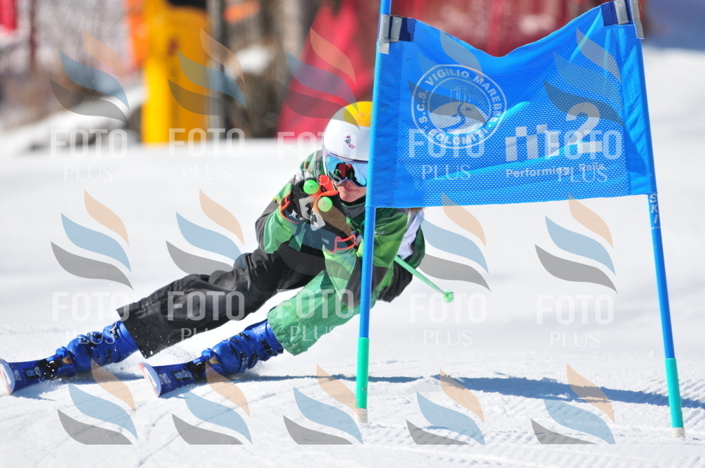 C3228 | holidayphoto