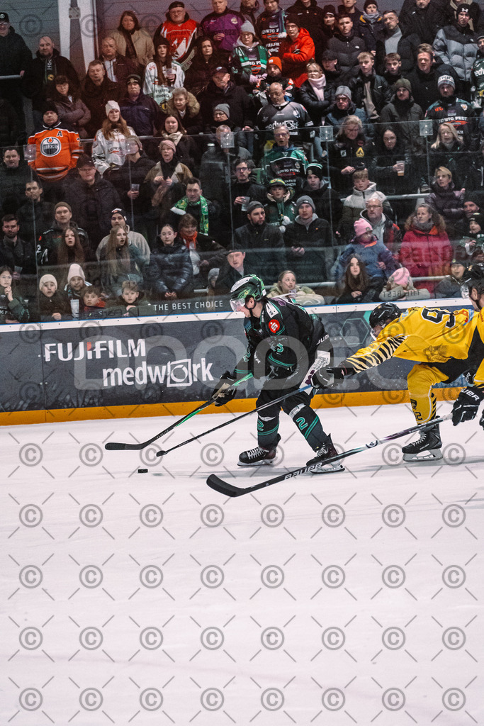 Alligators_vs_Bayreuth_16_01_2026-56 | Höchstadt Alligators Fotogalerie: Eishockey-Action aus Franken. Professionelle Spielfotos, Portraits & Stadionbilder zum Download. Jetzt entdecken! - Realisiert mit Pictrs.com