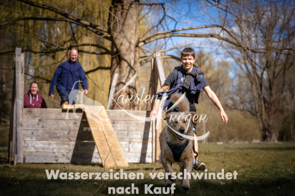 1030_ZZ97511 | kk-dogfotos