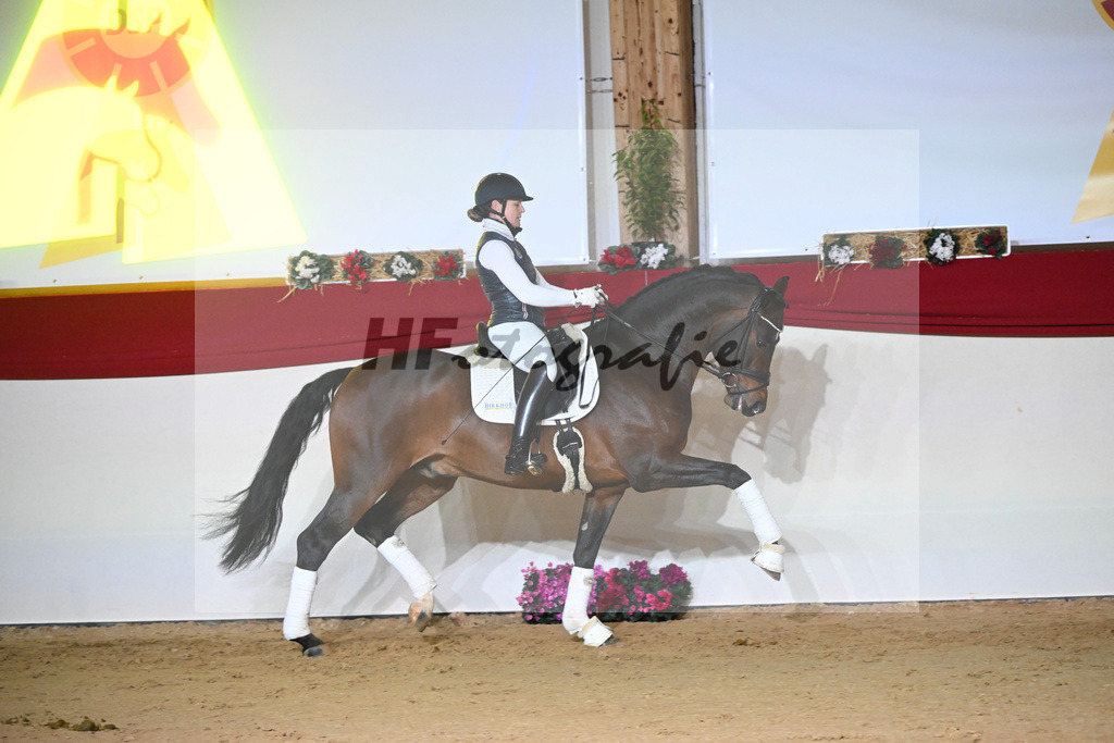 Vangelis_1234199 | hf-fotografie - Realisiert mit Pictrs.com