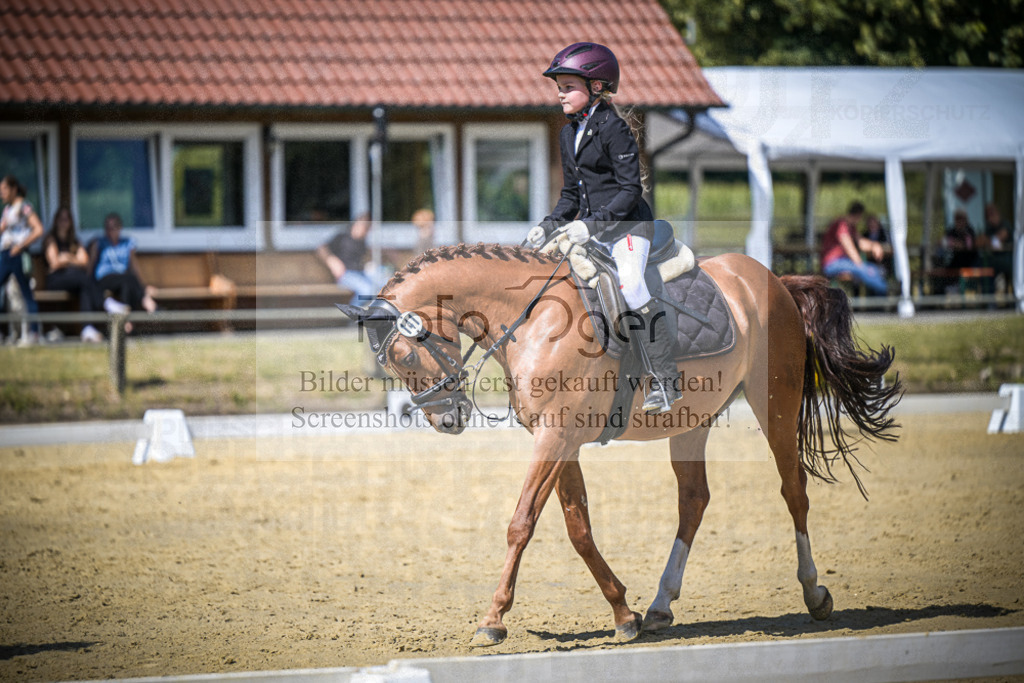 DOS_6541 | Entdecke hochwertige Reitturnierfotos von Foto Oger. Professionell, emotional und authentisch – jetzt Lieblingsmomente im Shop bestellen.Deutschlandweite Turnierfotografie. - Realisiert mit Pictrs.com