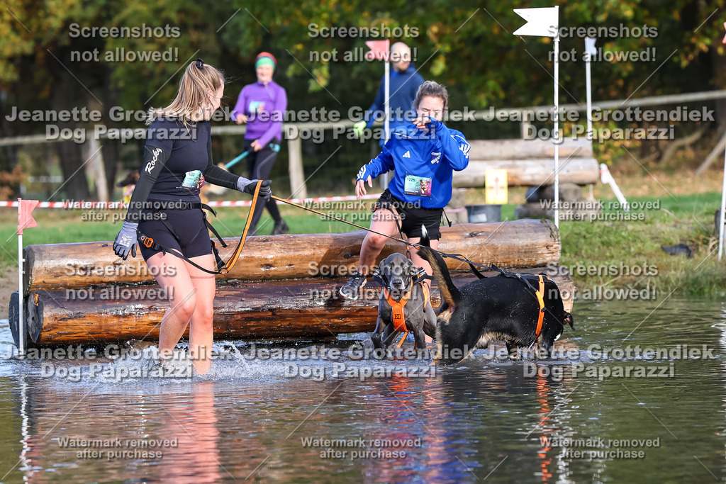 Dog Paparazzi - Strongdog 10-25-8329 | Dog Paparazzi Jeanette Grottendiek Fotografie & Videografie - Realisiert mit Pictrs.com