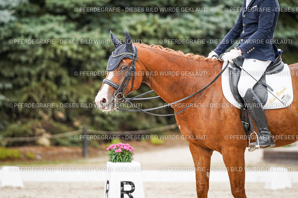 DSC08524 | Pferdegrafie