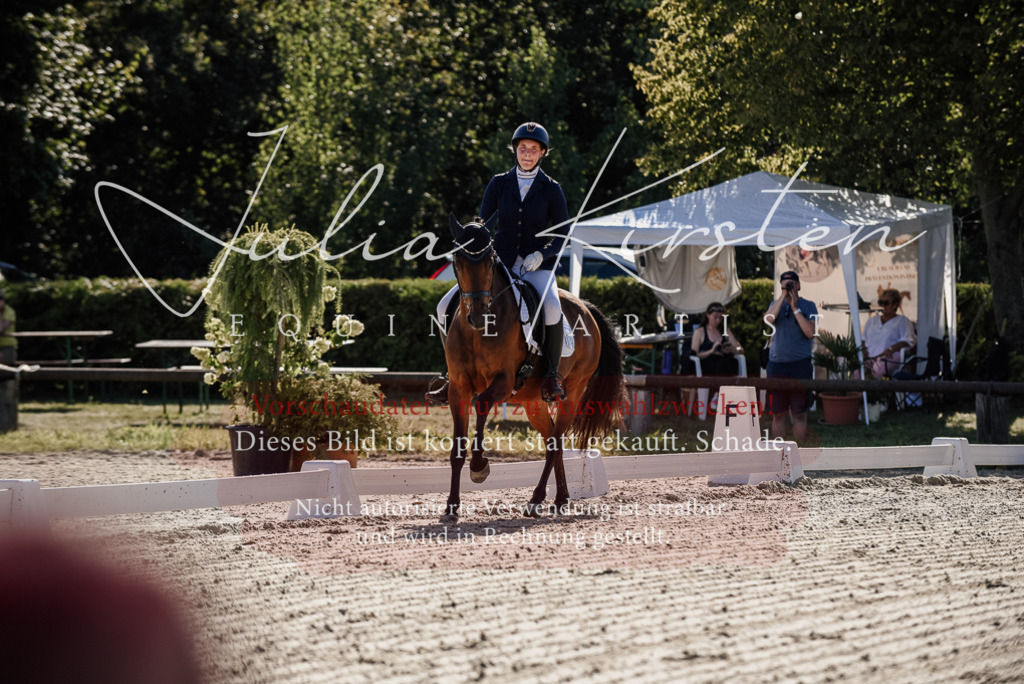 DSC_0273 | Pferde- und Turnierfotografie in Westsachsen. Pferdeportraits, Auftragszeichnungen und intuitive Kunst.