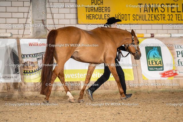 Zeiskam Tag 1-196 | dv-media-shop - Realisiert mit Pictrs.com