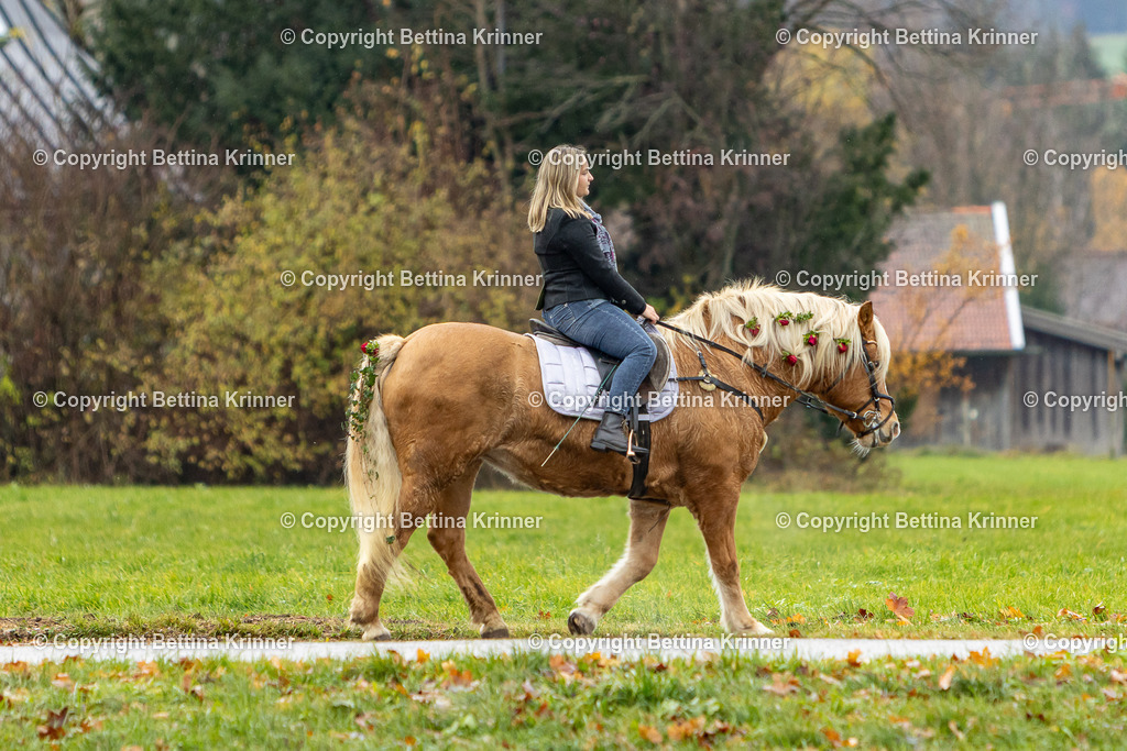 LL25-275 | foto-bettina-krinner - Realisiert mit Pictrs.com