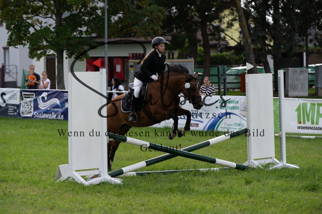 A7V03522 | Pferdefotograf