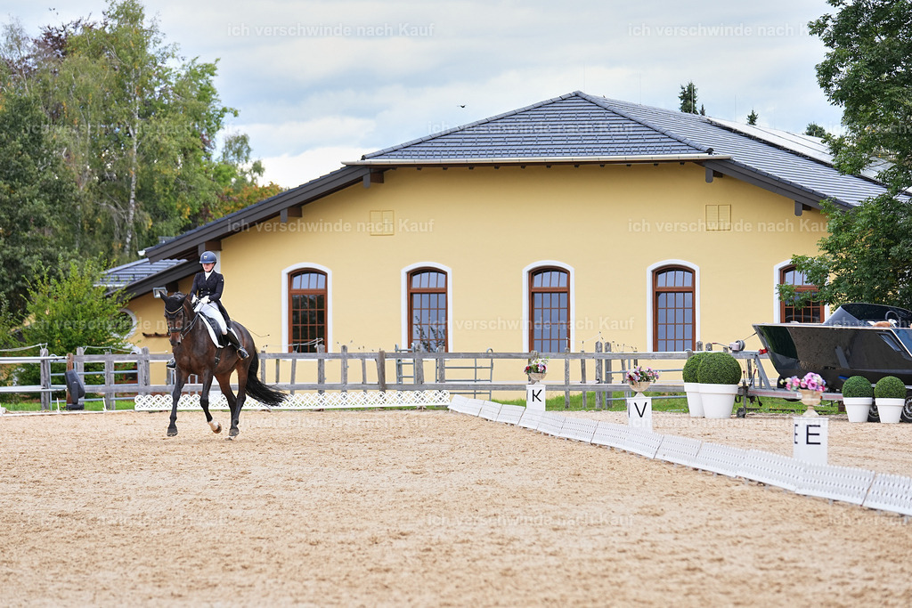 6-086-AMATUER-DRESSUR S_  -Marixx-3744 | working equitationturnier fotograf videograf stoibphotography marixx film working equitation deutschland reitsport turnierfotografie eventfotografie equestrian events