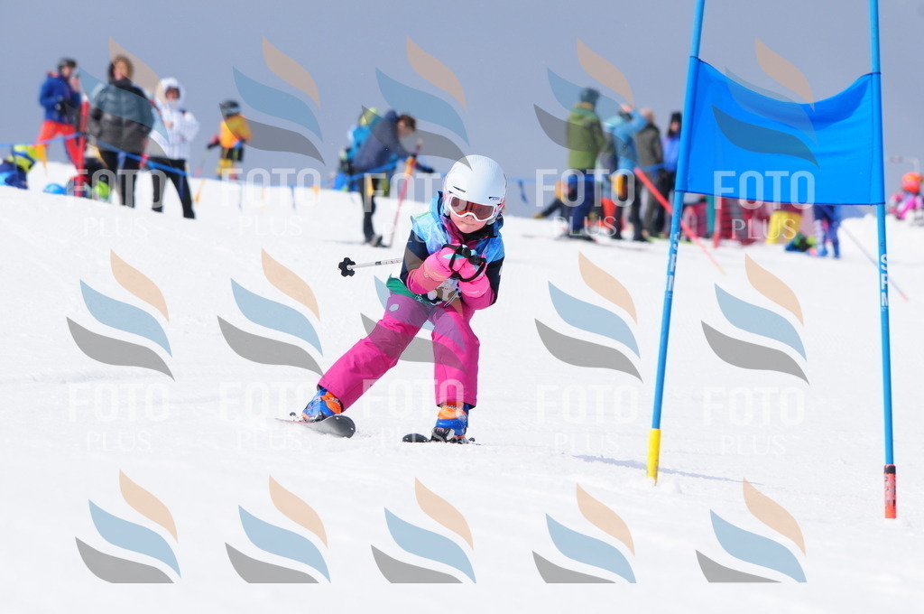 A3569 | holidayphoto