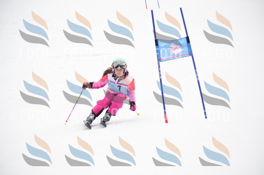 C0266 | holidayphoto