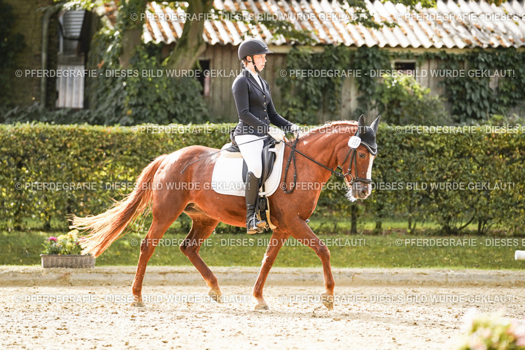 DSC00732 | Pferdegrafie