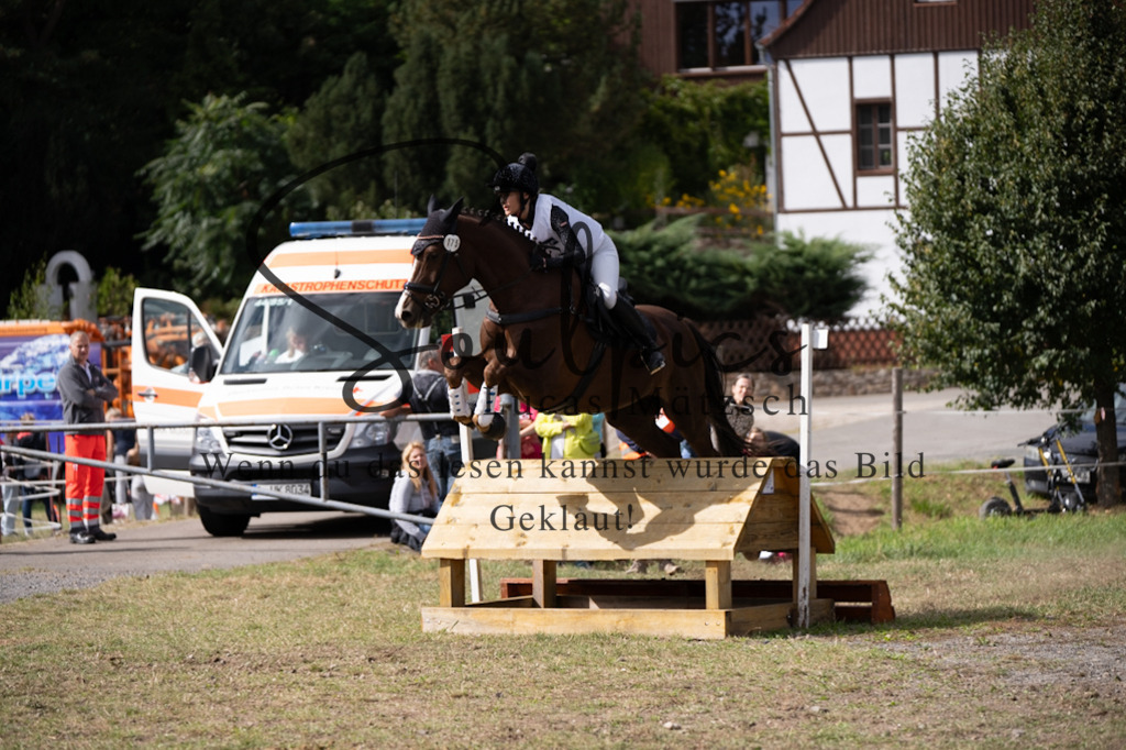 A7V01105 | Pferdefotograf