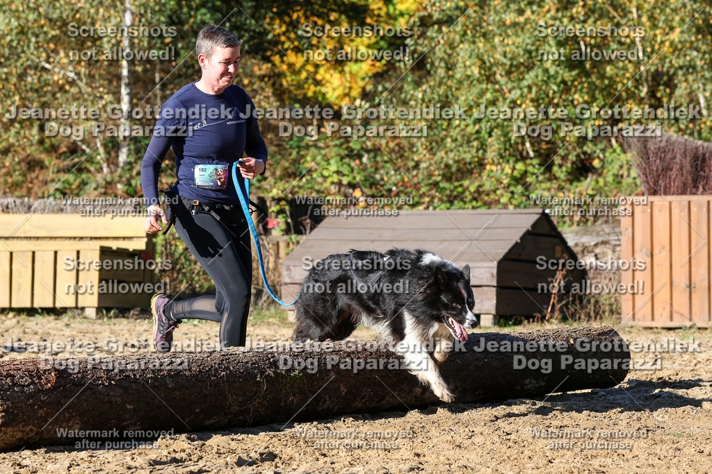 Dog Paparazzi - Strongdog 10-25-1860 | Dog Paparazzi Jeanette Grottendiek Fotografie & Videografie - Realisiert mit Pictrs.com