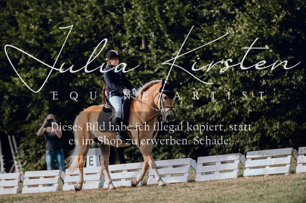 DSC_6972 | Pferde- und Turnierfotografie in Westsachsen. Pferdeportraits, Auftragszeichnungen und intuitive Kunst.