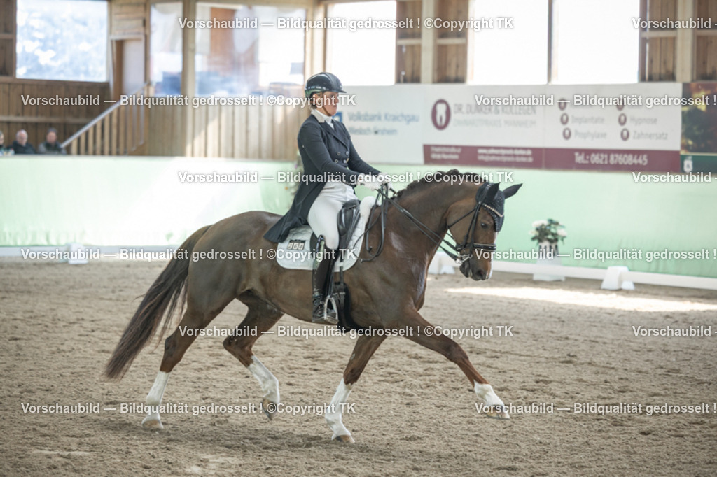 _D5A9333 | Emotionale Pferde- & People-Fotografie rund um Heidelberg, Leimen & Umgebung. Natürliche Fotos von Pferd, Mensch & Familie. Jetzt Termin sichern!