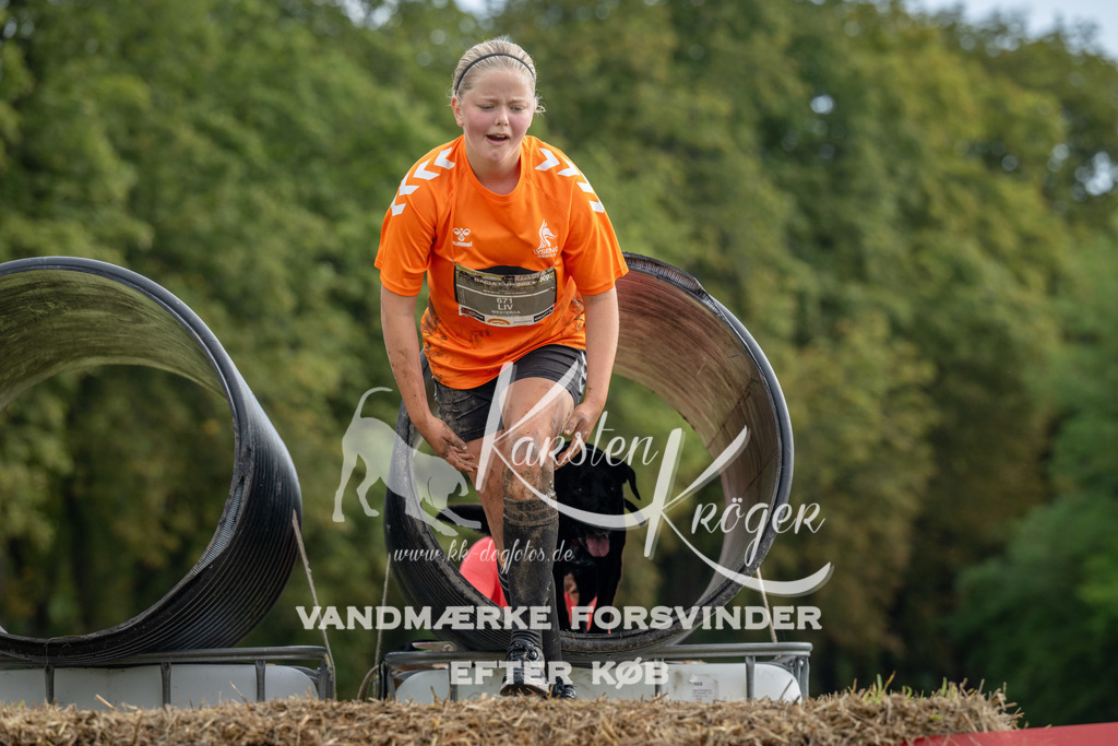 0950_ZZ91195 | kk-dogfotos