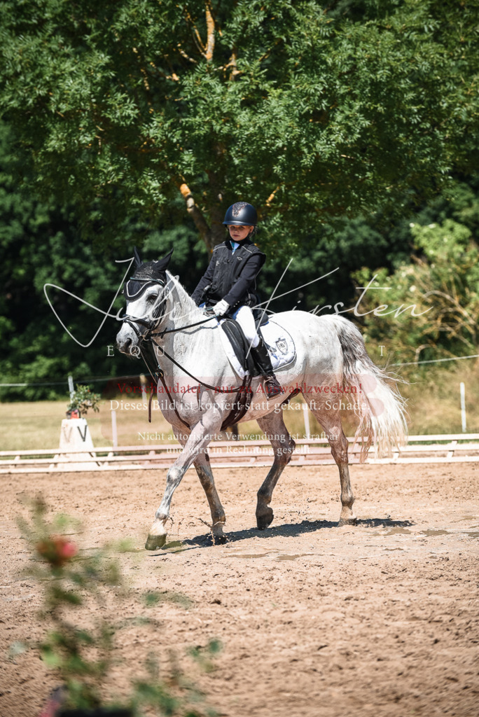 DSC_3125 | Pferde- und Turnierfotografie in Westsachsen. Pferdeportraits, Auftragszeichnungen und intuitive Kunst.