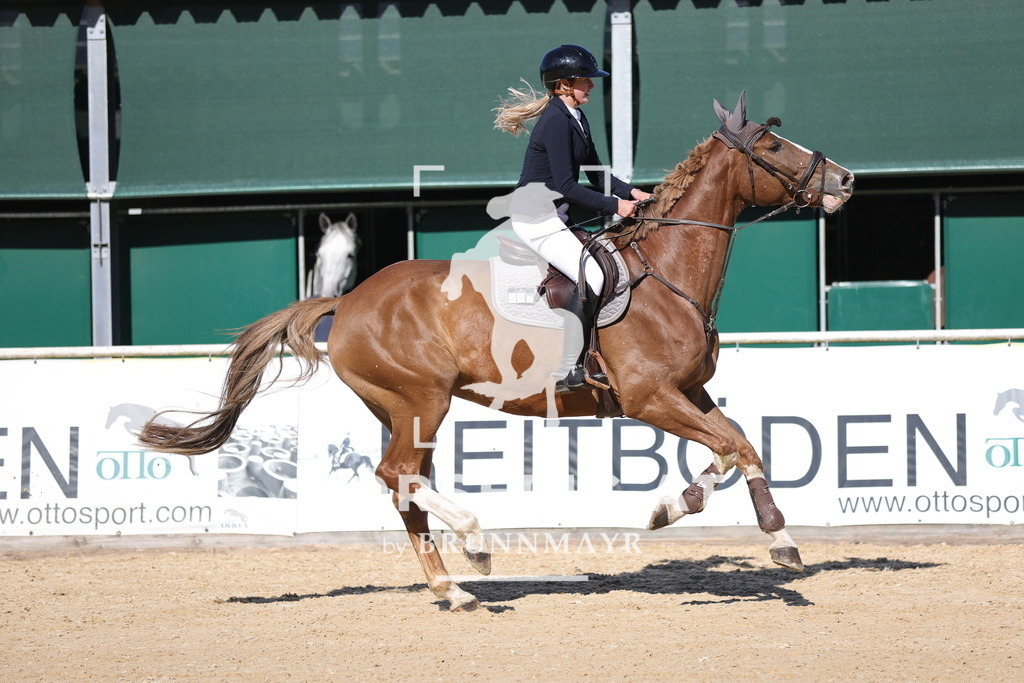 0P6A0347 | Willkommen bei Brunnmayr - Design & Fotografie – Ihrem Spezialisten für Reitturniere und Pferdeveranstaltungen in Oberösterreich, Salzburg und Bayern! Seit über 17 Jahren sind wir leidenschaftlich dabei.