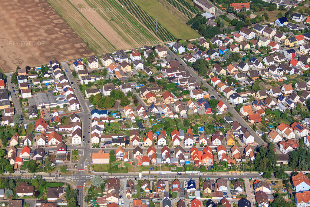 Luftbild: Albert-Schweitzer-Straße im Ortsteil Sondernheim in Germersheim im Bundesland Rheinland-Pfalz in Deutschland. Foto: IMG_52295.jpg vom 19.08.2012 durch Werner Riehm/FLY-FOTO.de