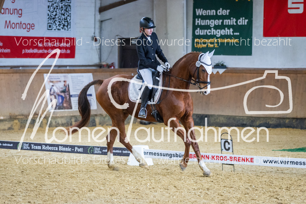 Sth-WBO25-EDr-115 | MomenTaufnahmen Pferdesportfotos